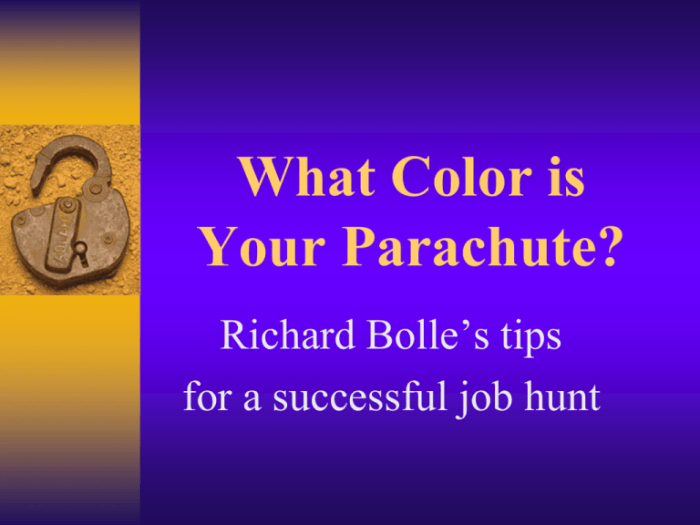 What colour is your parachute test