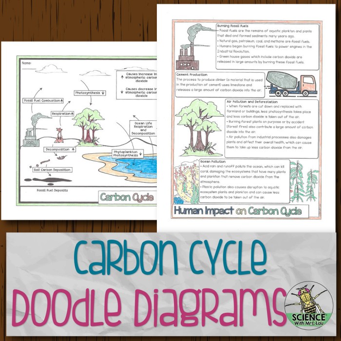 The carbon cycle worksheet answer key