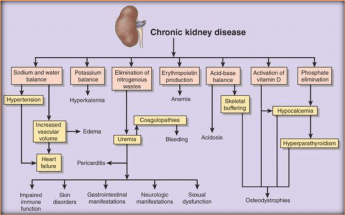 Renal failure pdf chronic disease acute caucasian presence female