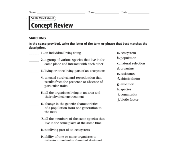 Super size me worksheet answers pdf