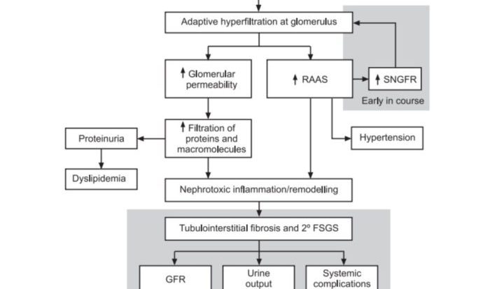 Hesi case study chronic renal failure