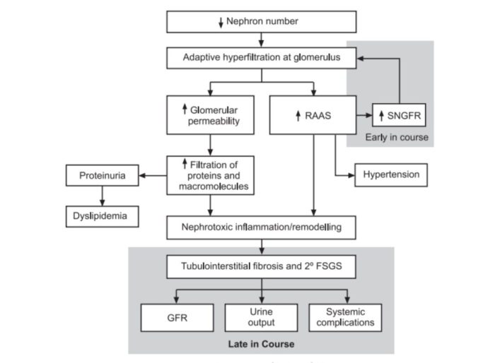 Hesi case study chronic renal failure