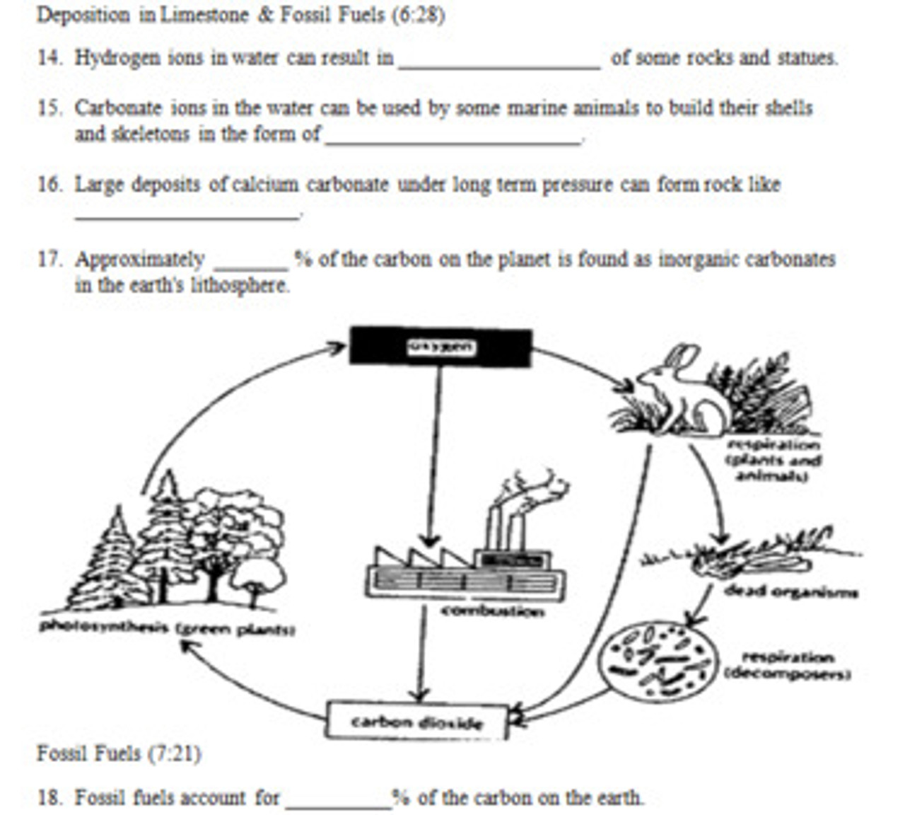 The carbon cycle worksheet answer key