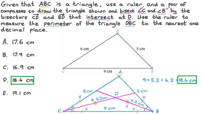 Bisectors in triangles quiz part 1