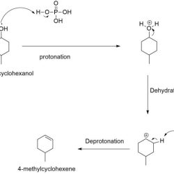 Dehydration of 4 methylcyclohexanol mechanism