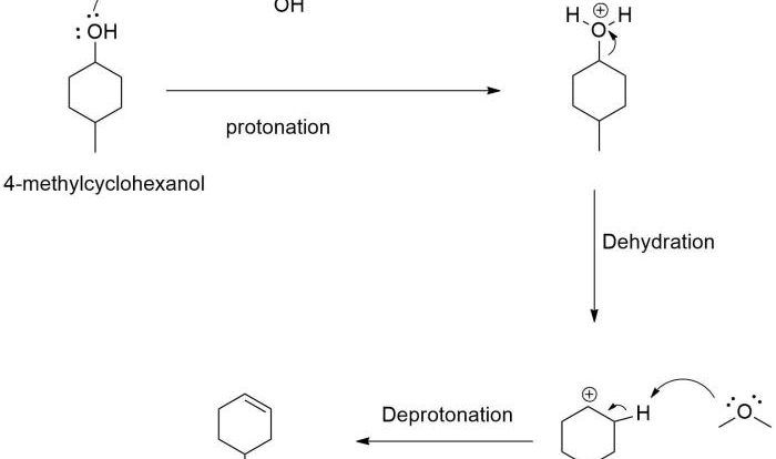 Dehydration of 4 methylcyclohexanol mechanism