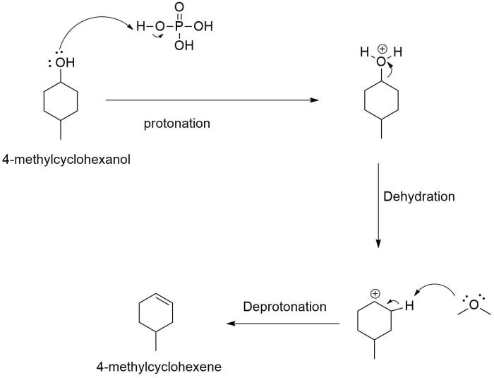 Dehydration of 4 methylcyclohexanol mechanism