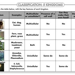 Lesson 4 student activity sheet answers biology