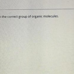 Substituents complex