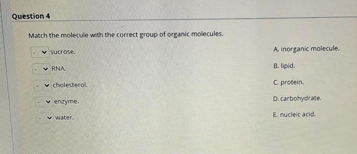 Substituents complex