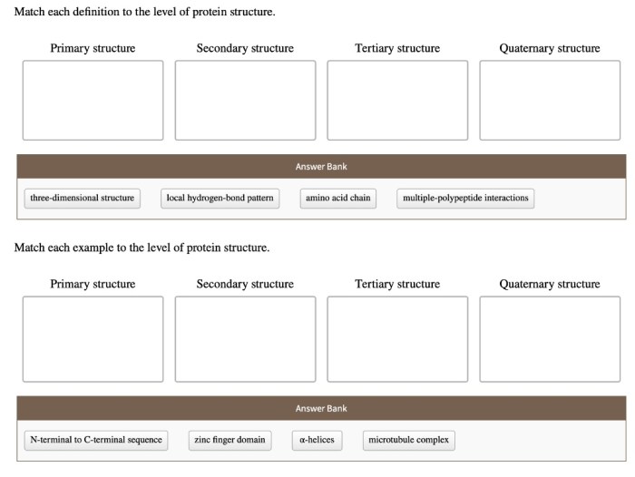 Match each description with the correct level of protein structure