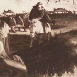 The cherokee removal through the eyes of a private soldier