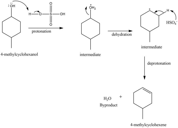 Dehydration of 4 methylcyclohexanol mechanism