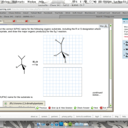 Following correct select iupac name organic substrate including designation chegg question transcribed text show answered hasn yet been